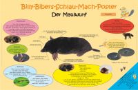 Billy-Bibers-Schlau-Mach-Poster  Der Maulwurf