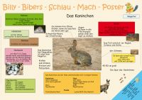 Billy-Bibers-Schlau-Mach-Poster  Das Kaninchen