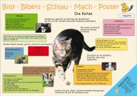 Billy-Bibers-Schlau-Mach-Poster  Die Katze