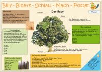 Billy-Bibers-Schlau-Mach-Poster  Der Baum