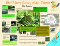 Billy-Bibers-Schlau-Mach-Poster  Der Frosch