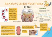 Billy-Bibers-Schlau-Mach-Poster  Der Zahn