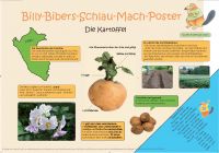 Billy-Bibers-Schlau-Mach-Poster- Die Kartoffel