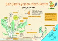 Billy-Bibers-Schlau-Mach-Poster-Lwenzahn