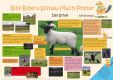 Billy-Bibers-Schlau-Mach-Poster  Das Schaf